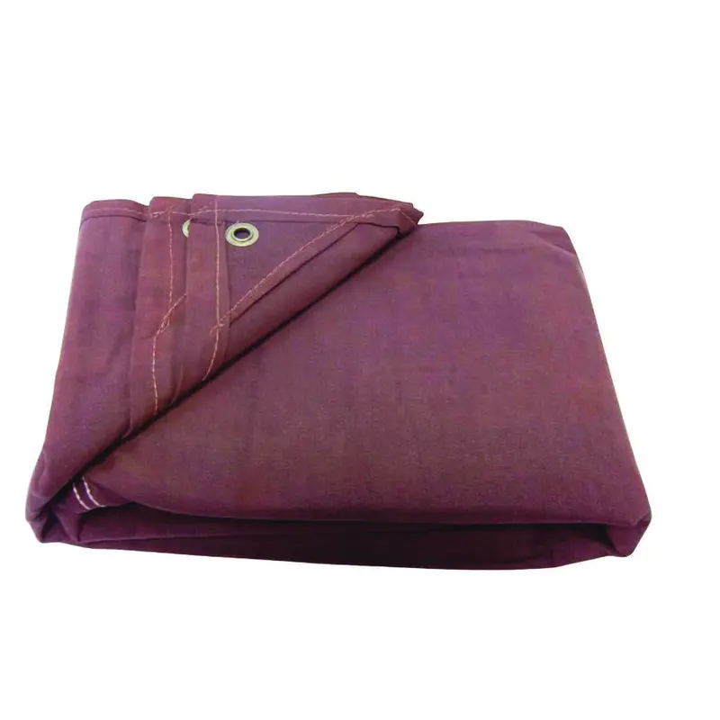 Ace Heavy-Duty Polyethylene Tarpaulin