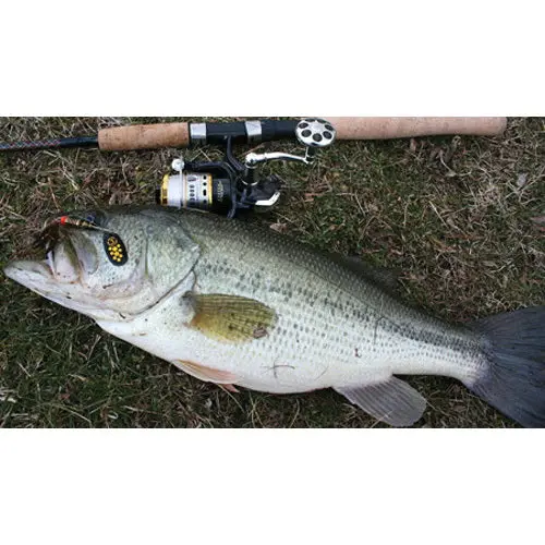 Mepps® BF1 Spinnerbait Fishing Lure – Classic Blade Design for Bass and Panfish