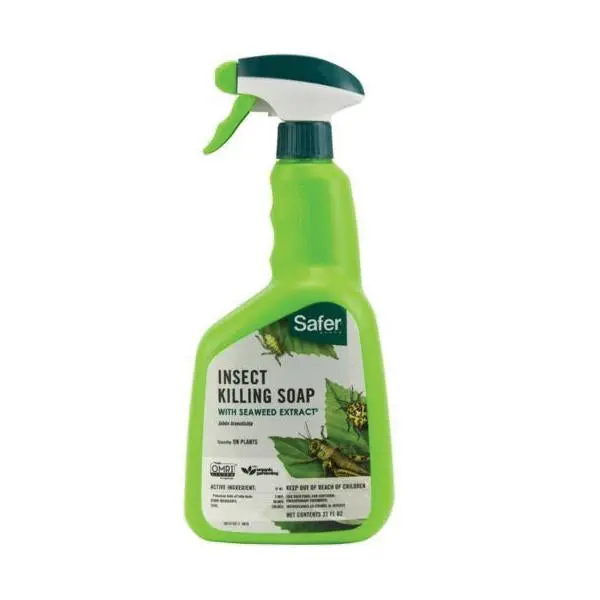 Safer Brand 5110-6 Insecticidal Soap Spray – 32 oz Ready-to-Use Liquid Formula for Soft-Bodied Pests